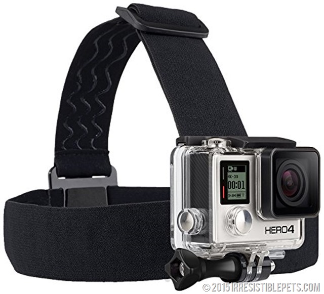 GoPro Head Mount for Dog Harness