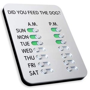 Did You Feed The Dog?