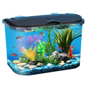 Koller Products Panaview 5 gallon Aquarium Kit with LED Lighting & Power Filter – AP15005FFP