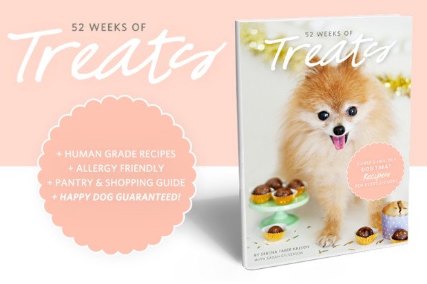 52 Weeks of Treats 2nd Edition - Dog Treat eBook // Available at the Pretty Fluffy Print Shop // www.prettyfluffy.com